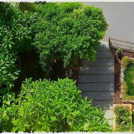 Lirma B&B-2
